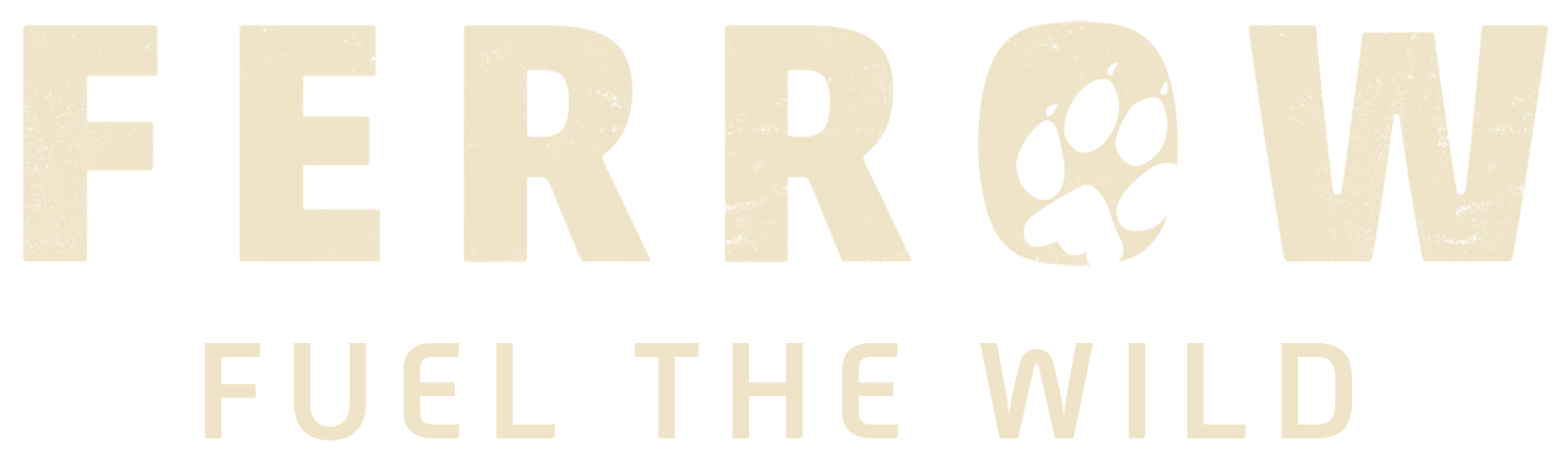Ferrow Logo